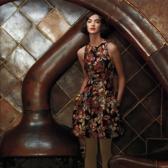 Anthropologie Dresses & Skirts - {Anthropologie} Leifsdottir Adelita Brocade Dress